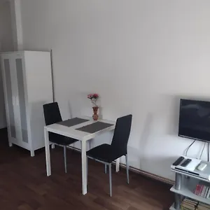 Apartmán Borská 30, Karlovy Vary